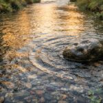 Pietra immobile al centro di un fiume che scorre, metafora del distacco e della fine della sofferenza secondo il Buddha